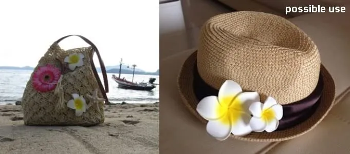 2.5" Hawaiian Hair Flower Clip Hair Barrettes for Women.Hair Buckle 4 Moana Luau Hawaiian Dresses for Women-6pc Hair Clips for Thin Hair,Hair Clips for Girls,Plumeria Hawaii Hair Accessories for Women
