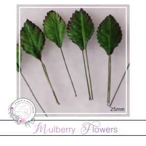 Mulberry Paper Flowers ~ Leaves ~ 25mm ~ Green